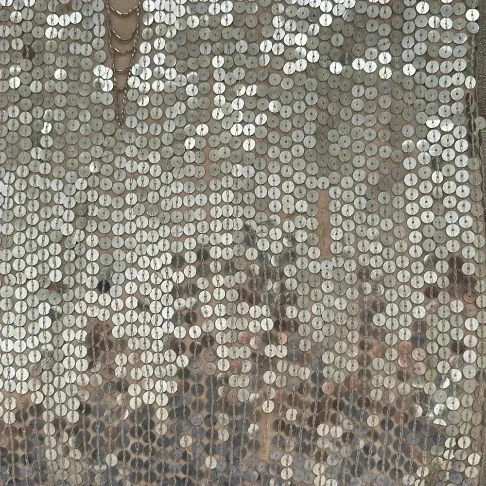 Haute Hippie XS Silver Sequence dress - Picture 12 of 12